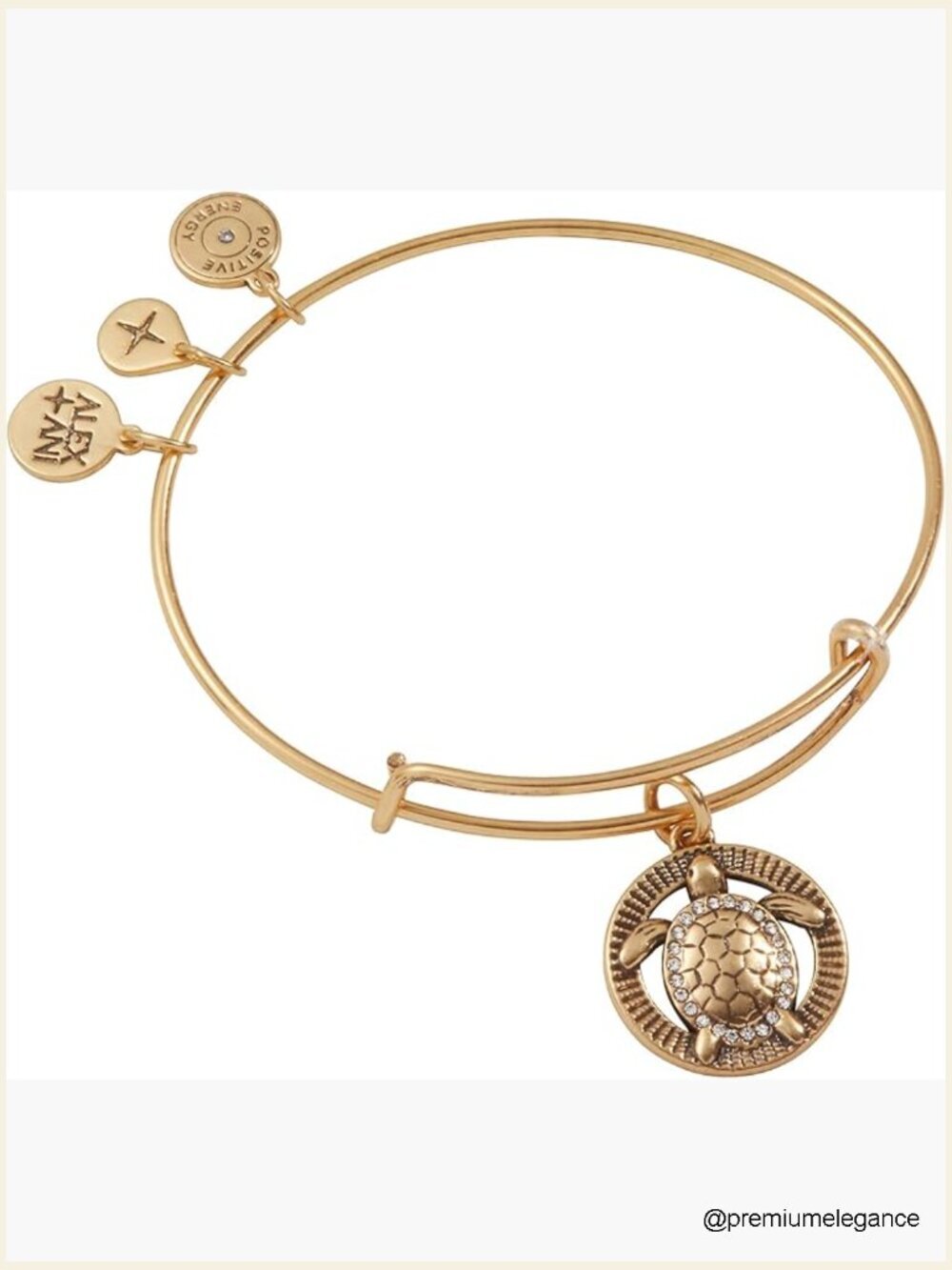 Turtle Charm Bangle Bracelet Expandable Adjustable